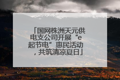 国网株洲天元供电支公司开展“e起节电”惠民活动，共筑清凉夏日