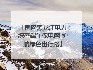 国网黑龙江电力：织密端午保电网 护航绿色出行路
