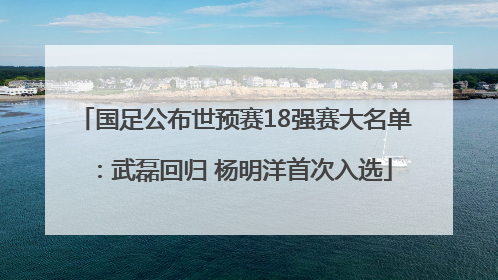 国足公布世预赛18强赛大名单：武磊回归 杨明洋首次入选