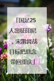 国足25人出征印尼，宋凯督战目标把悬念带回重庆