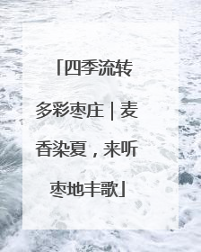四季流转 多彩枣庄｜麦香染夏，来听枣地丰歌