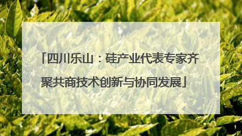 四川乐山：硅产业代表专家齐聚共商技术创新与协同发展