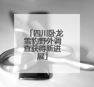 四川卧龙雪豹野外调查获得新进展