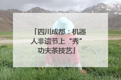四川成都：机器人非遗节上“秀”功夫茶技艺