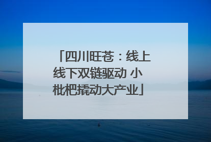 四川旺苍：线上线下双链驱动 小枇杷撬动大产业