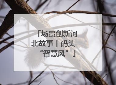 场景创新河北故事丨码头“智慧风”