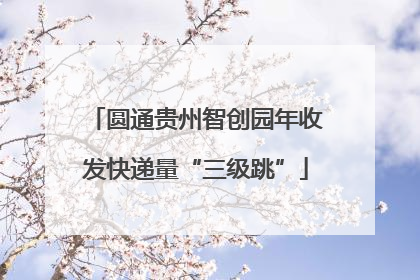 圆通贵州智创园年收发快递量“三级跳”