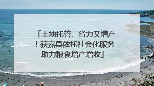 土地托管、省力又增产！获嘉县依托社会化服务助力粮食增产增收