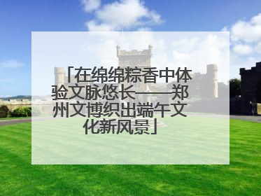 在绵绵粽香中体验文脉悠长——郑州文博织出端午文化新风景
