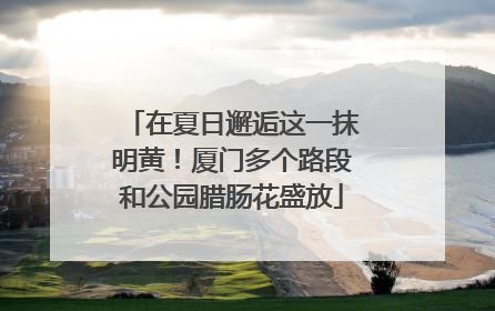在夏日邂逅这一抹明黄！厦门多个路段和公园腊肠花盛放