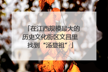 在江西规模最大的历史文化街区文昌里找到“汤显祖”