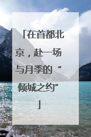在首都北京，赴一场与月季的“倾城之约”