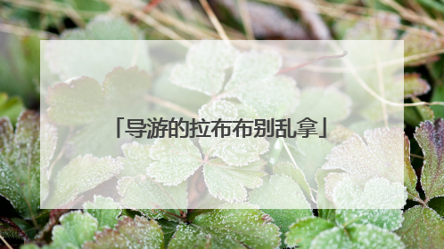 导游的拉布布别乱拿