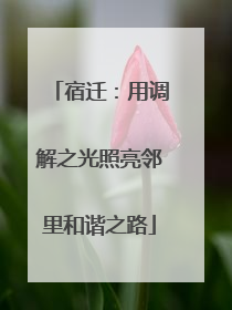 宿迁：用调解之光照亮邻里和谐之路