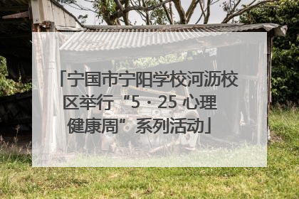 宁国市宁阳学校河沥校区举行“5・25 心理健康周”系列活动
