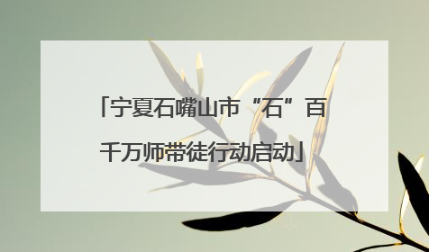 宁夏石嘴山市“石”百千万师带徒行动启动
