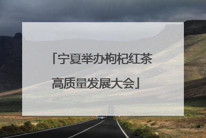 宁夏举办枸杞红茶高质量发展大会