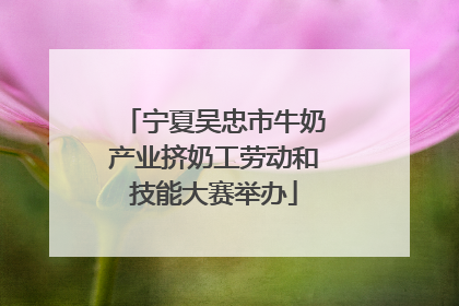 宁夏吴忠市牛奶产业挤奶工劳动和技能大赛举办