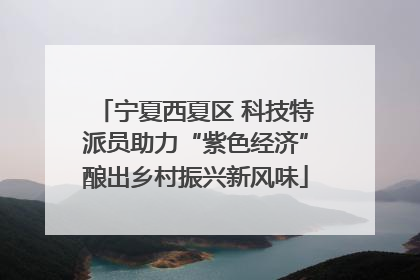 宁夏西夏区 科技特派员助力“紫色经济”酿出乡村振兴新风味