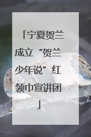 宁夏贺兰成立“贺兰少年说”红领巾宣讲团