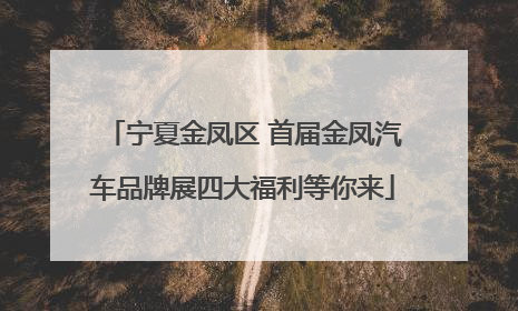 宁夏金凤区 首届金凤汽车品牌展四大福利等你来