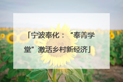 宁波奉化：“奉菁学堂”激活乡村新经济