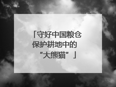 守好中国粮仓 保护耕地中的“大熊猫”