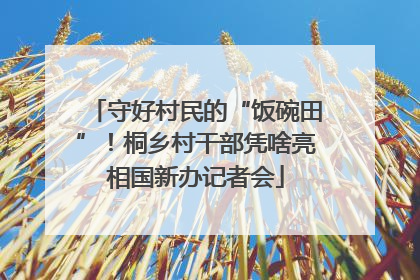 守好村民的“饭碗田”！桐乡村干部凭啥亮相国新办记者会