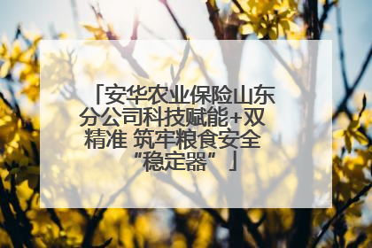 安华农业保险山东分公司科技赋能+双精准 筑牢粮食安全“稳定器”
