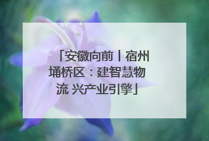 安徽向前丨宿州埇桥区：建智慧物流 兴产业引擎