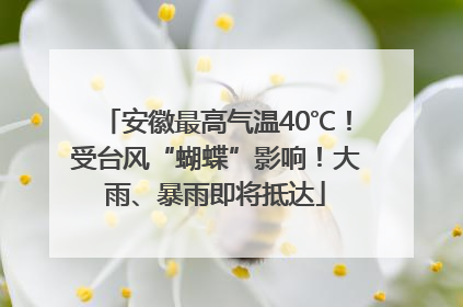 安徽最高气温40℃！受台风“蝴蝶”影响！大雨、暴雨即将抵达