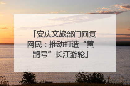 安庆文旅部门回复网民：推动打造“黄鹄号”长江游轮
