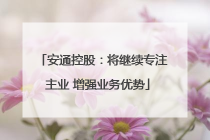 安通控股：将继续专注主业 增强业务优势