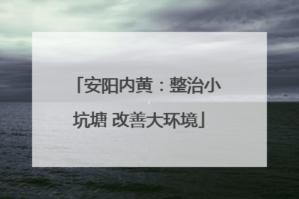 安阳内黄：整治小坑塘 改善大环境