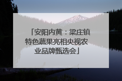 安阳内黄：梁庄镇特色蔬果亮相央视农业品牌甄选会