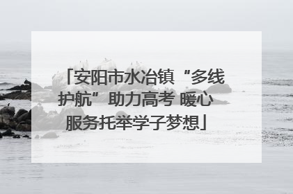安阳市水冶镇“多线护航”助力高考 暖心服务托举学子梦想
