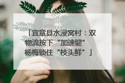 宜章县水浸窝村：双物流按下“加速键” 杨梅锁住“枝头鲜”