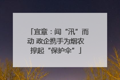 宜章：闻“汛”而动 政企携手为烟农撑起“保护伞”