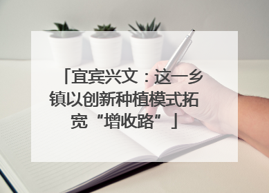 宜宾兴文：这一乡镇以创新种植模式拓宽“增收路”