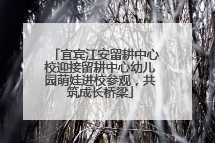宜宾江安留耕中心校迎接留耕中心幼儿园萌娃进校参观，共筑成长桥梁