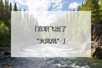 宜职飞出了“火凤凰”