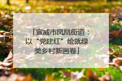 宣威市凤凰街道：以“党建红”绘就绿美乡村新画卷