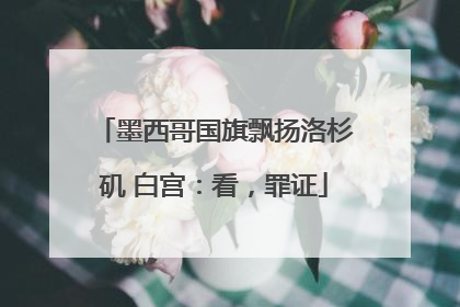 墨西哥国旗飘扬洛杉矶 白宫：看，罪证