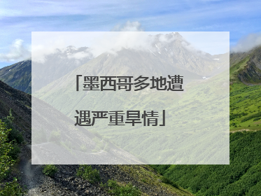 墨西哥多地遭遇严重旱情