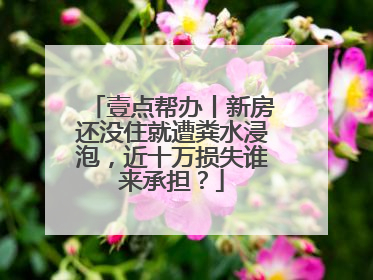 壹点帮办丨新房还没住就遭粪水浸泡，近十万损失谁来承担？