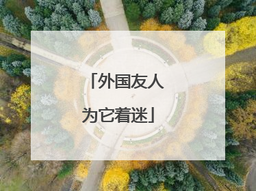 外国友人为它着迷