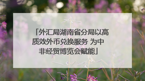 外汇局湖南省分局以高质效外币兑换服务 为中非经贸博览会赋能