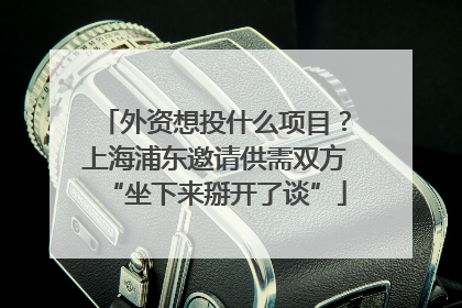 外资想投什么项目？上海浦东邀请供需双方“坐下来掰开了谈”