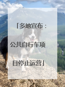 多地宣布：公共自行车项目停止运营