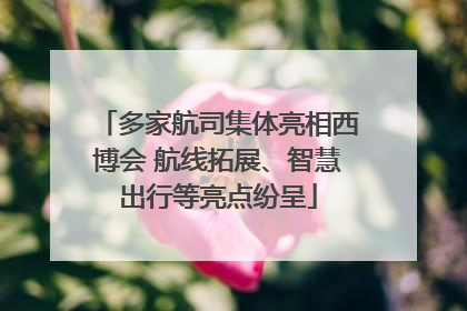 多家航司集体亮相西博会 航线拓展、智慧出行等亮点纷呈